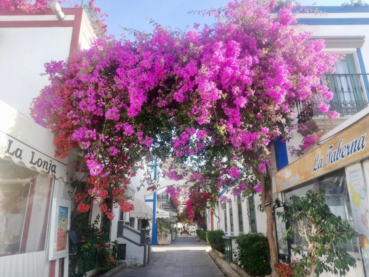 Pension Playa Puerto De Mogan Exterior photo